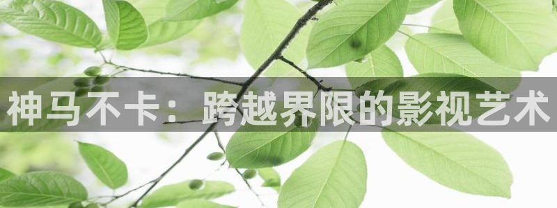 被窝影视电视剧免费观看电视剧大全