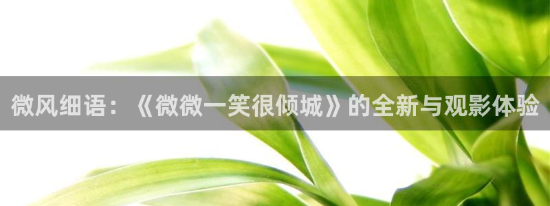 被窝电影网我不卡