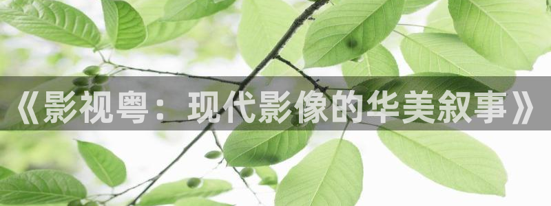 被窝影院在线看