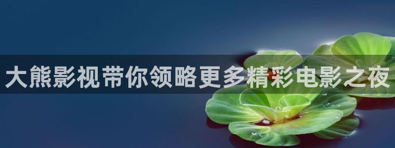 被窝影院在线播放