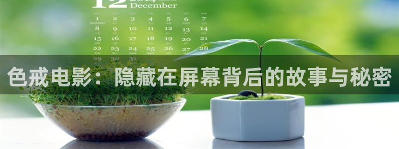 琪琪秋霞午夜被窝影视