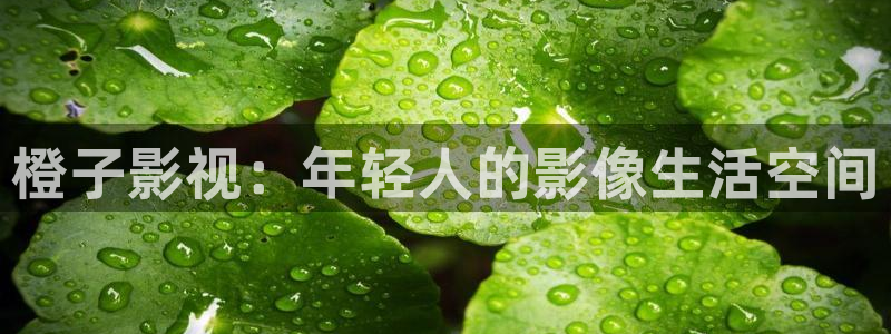 秋霞影院被窝影院在线观看