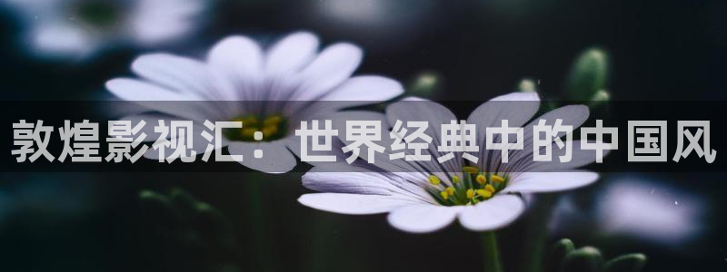 被窝影院午夜片